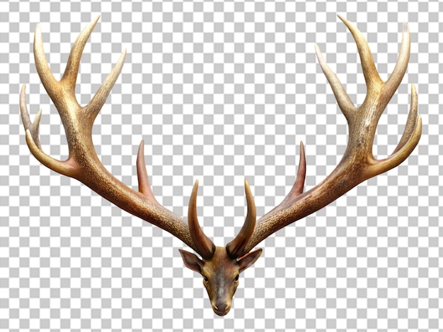 PSD reindeer horns deer antlers