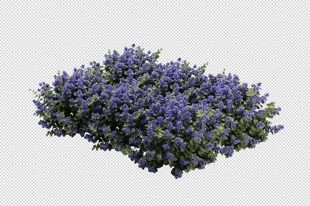 Render of isolated flower tree isometric