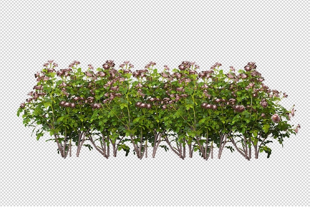 Render of isolated flower tree isometric