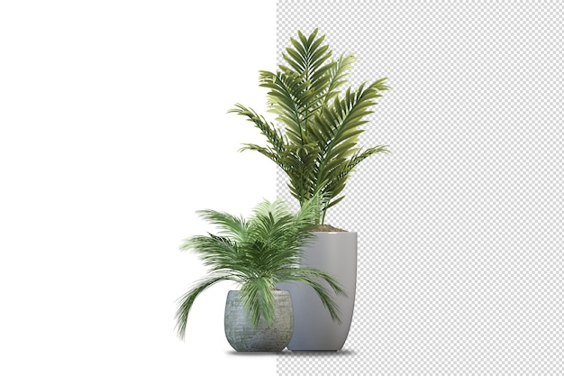 Render of isolated plant metal pot isometric front view transparent