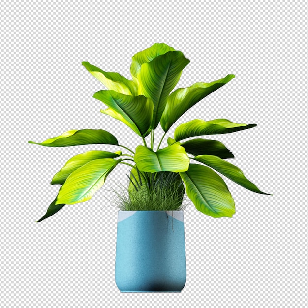 Render of isolated plant metal pot isometric front view transparent