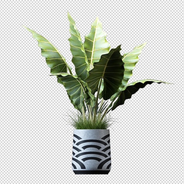 Render of isolated plant metal pot isometric front view transparent