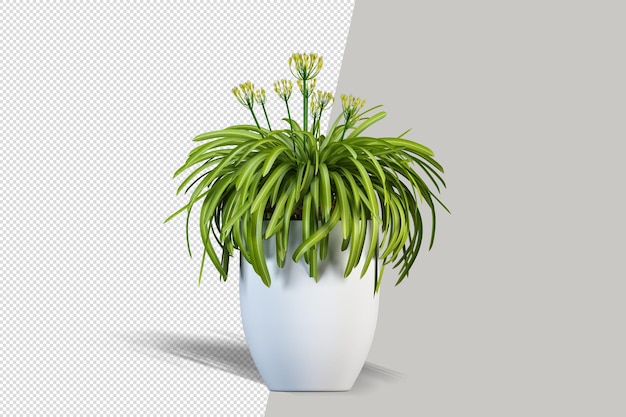 Render of isolated plant in pot isolated