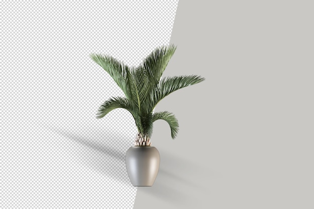 Render of isolated plant in pot