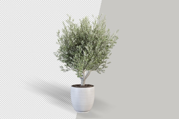 Render of isolated plant