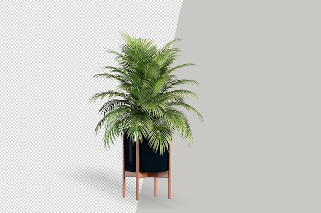 Render of isolated plant