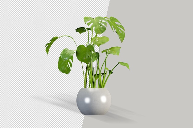 Render of isolated plant