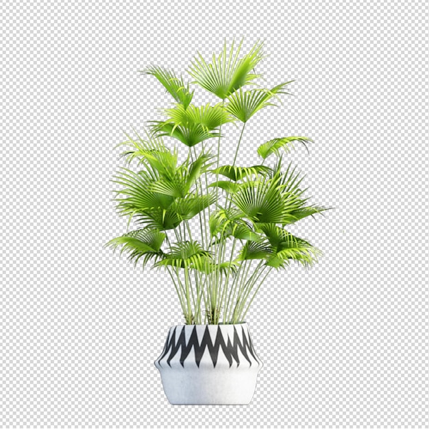 Render of isolated plants 3d