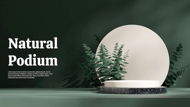 rendering 3d blank mockup white black marble podium in landscape eucalyptus leaf and circle backdrop