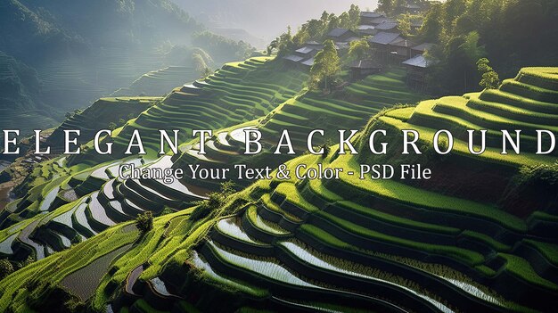 PSD rice terraces in the mountains of southeast asia