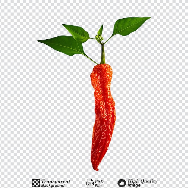 Ripe chilli with leaves isolated on transparent background