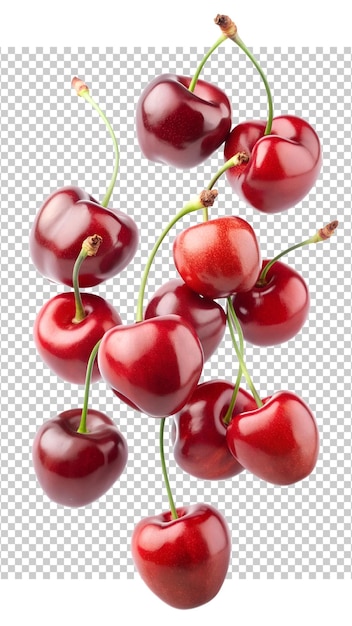 Ripe red cherries with stems floating on white background PNG isolated transparent