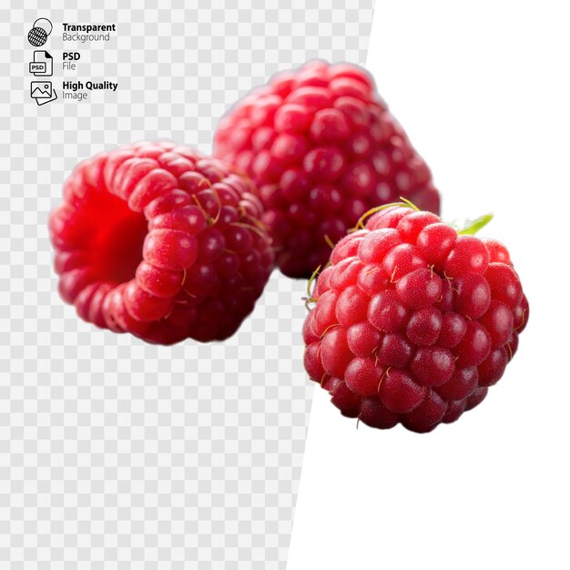 Ripe Red Raspberries Isolated on a Transparent Background Reflecting Freshness