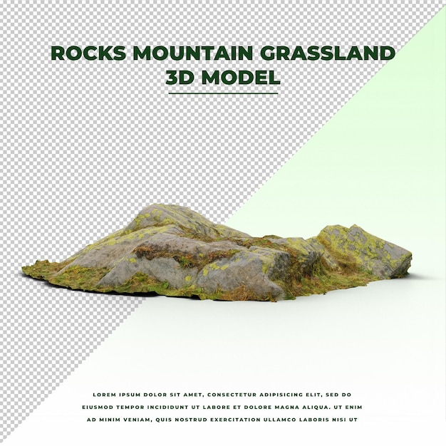 Rock Mountain Grassland