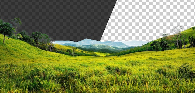 Rolling green hills with distant mountain panorama on transparent background stock png