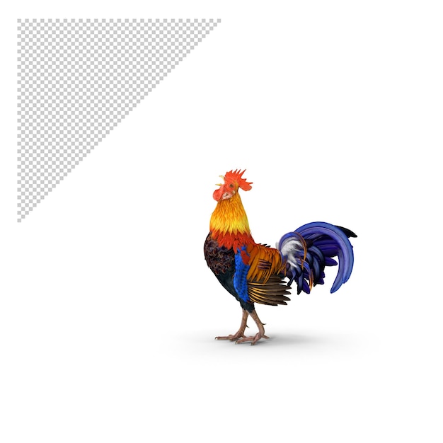 rooster PNG