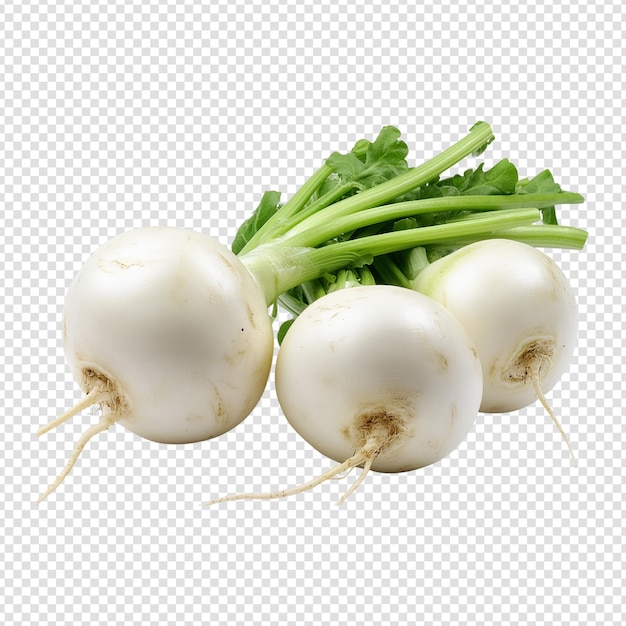 Root Vegetables isolated on transparent background cut out