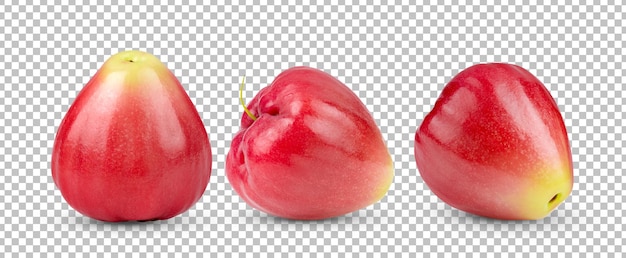 Rose apple isolated on alpha layer