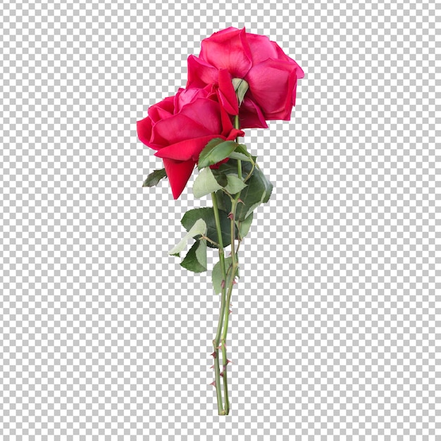 Rose flower stems isolated rendering