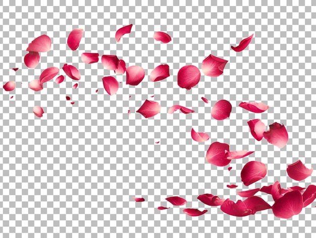 Rose petals isolated on transparent background