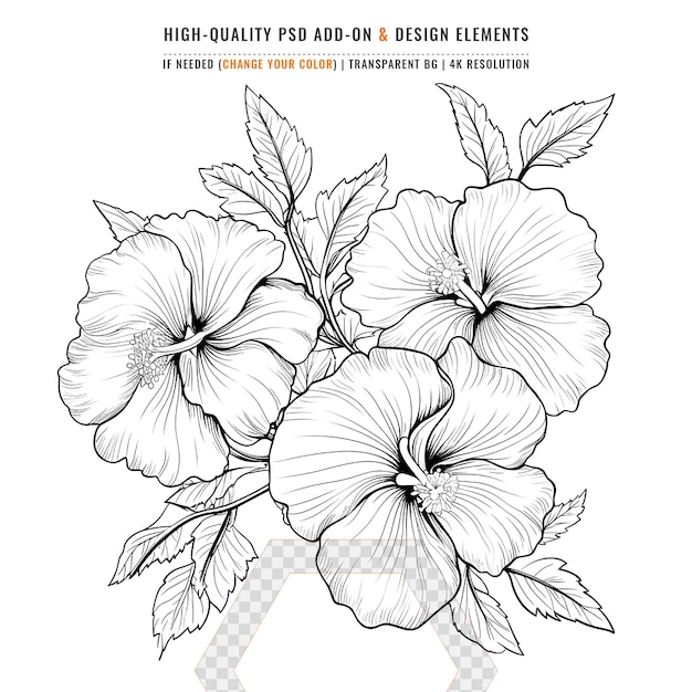 PSD rose of sharon flower coloring page with line art stroke of black and white hand drawn