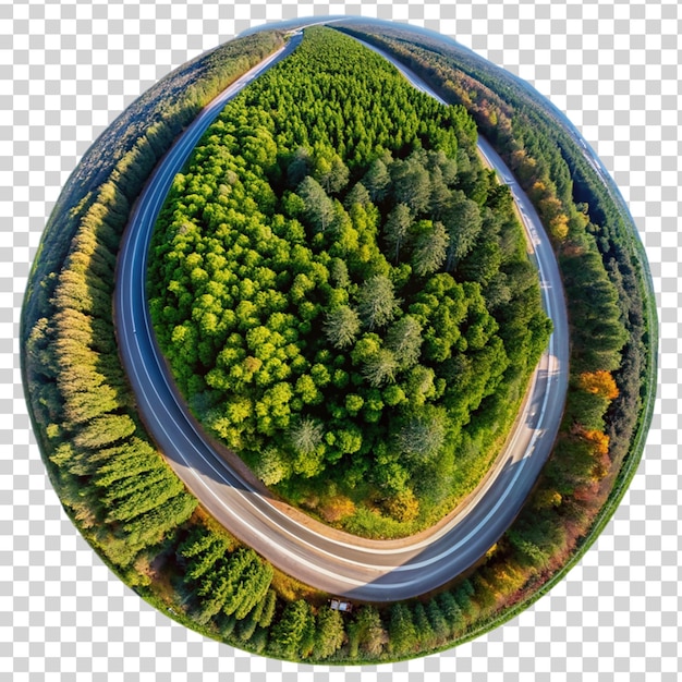 PSD a round aerial shot of a long road surrounded by tree on transparent background