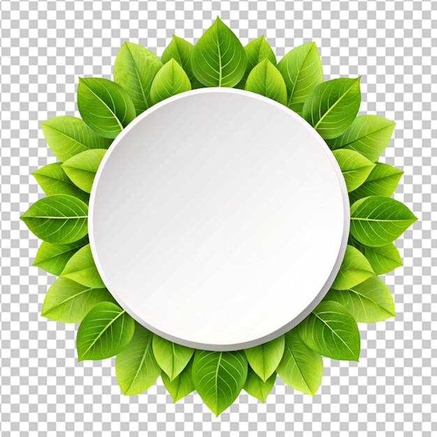 a round border with four green leaves on transparent background