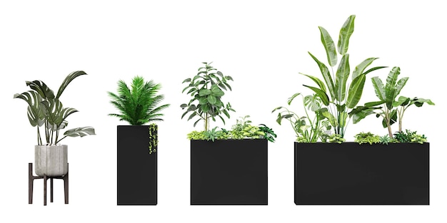 A row of plants in black pots with one that says'green '