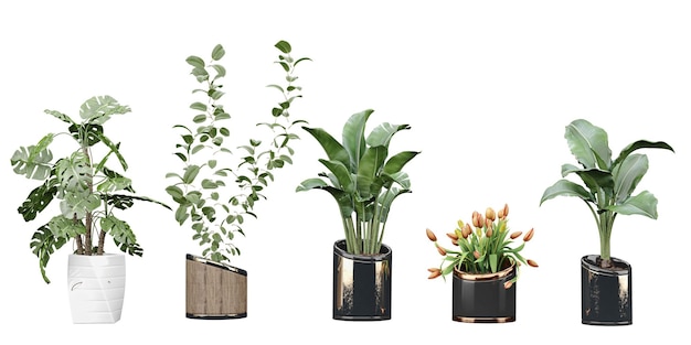 A row of plants in different sizes including one that says'green '