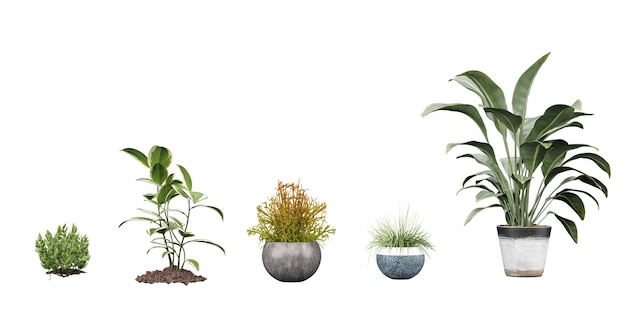 A row of plants in pots with one that says'green '