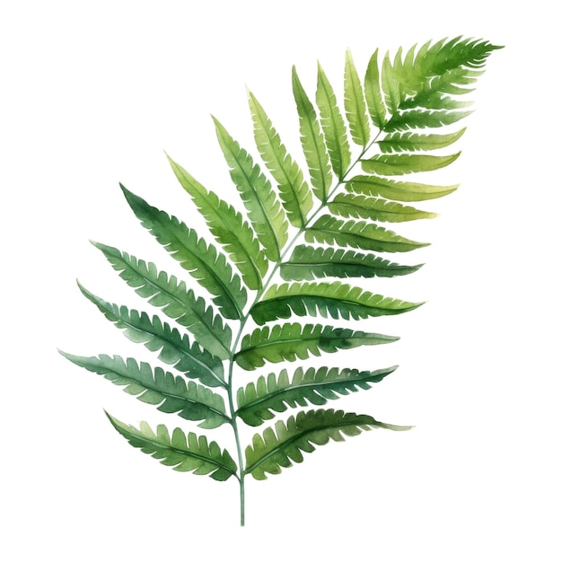 Royal Fern Tropical Leaf Illustration Watercolor Style AI Generated