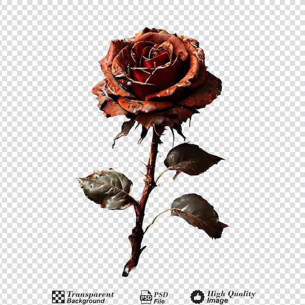 PSD rusted rose on floor isolated on transparent background