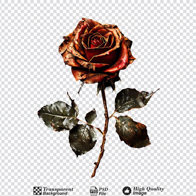 PSD rusted rose on floor isolated on transparent background