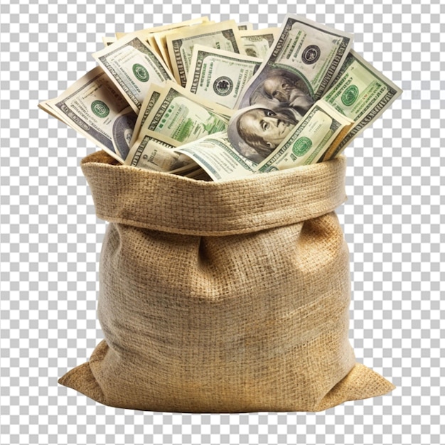 sack full of money dollars on transparent background