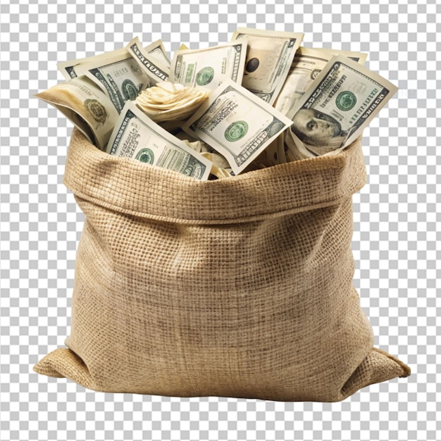 sack full of money dollars on transparent background