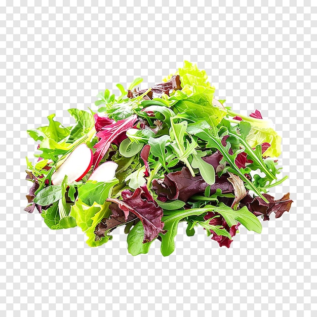 PSD salad mix with rucola frisee radicchio and lambs lettuce on a transparent background