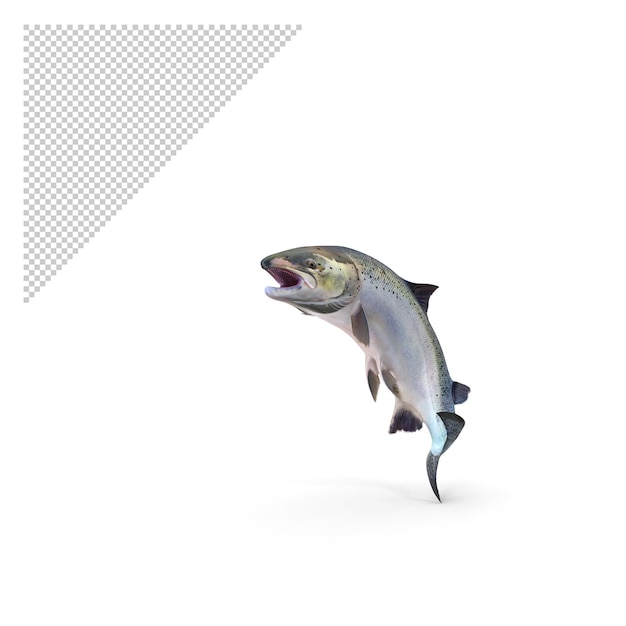 salmon fish jump pose PNG