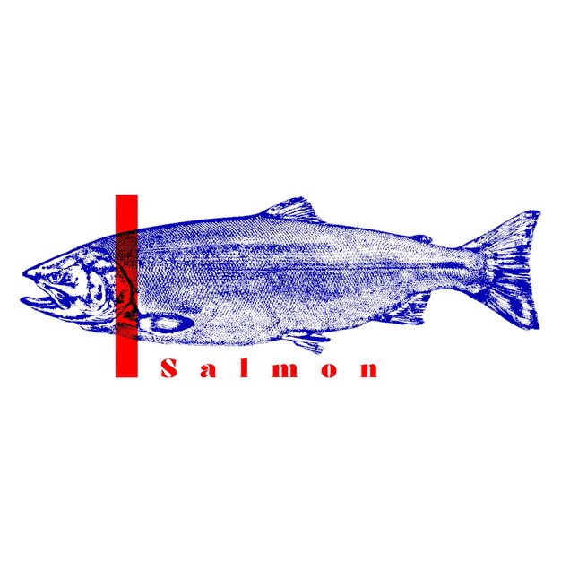 PSD salmon taimen cartoon style drawing of a king salmon vintage retro graphics line logo