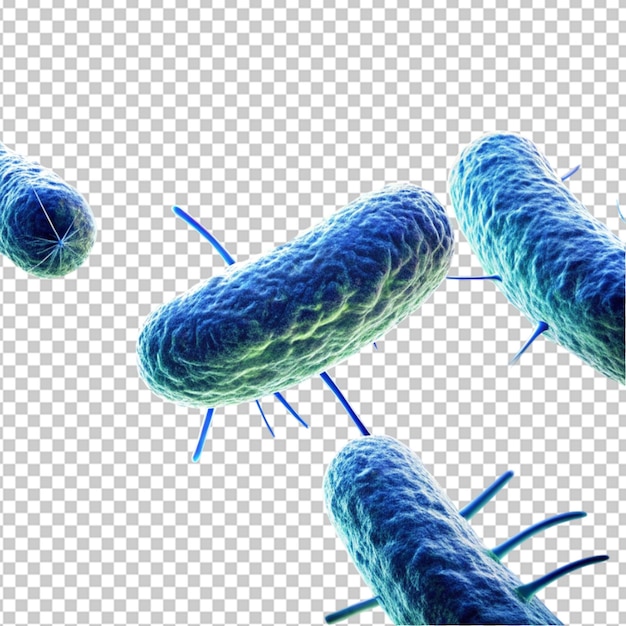 Salmonella Germ Closeup Microscopy Image for Scientific Study on transparent background