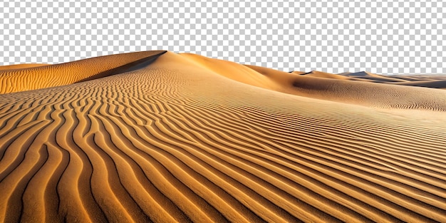 Sand dunes create mesmerizing patterns under bright daylight in desert cut out transparent