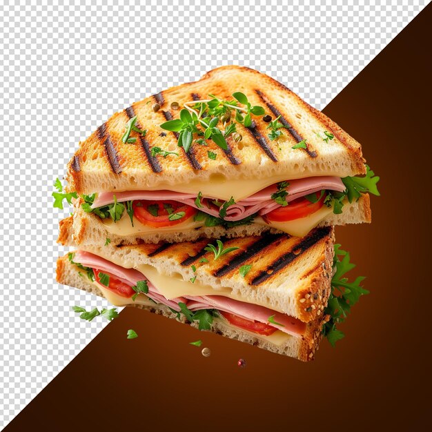 sandwich isolated on white background