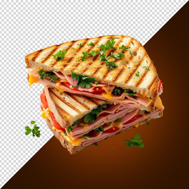 sandwich isolated on white background