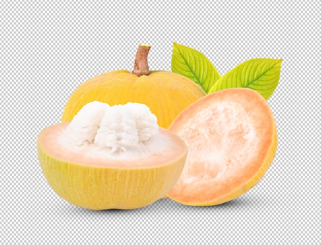 Santol fruit on alphe layer