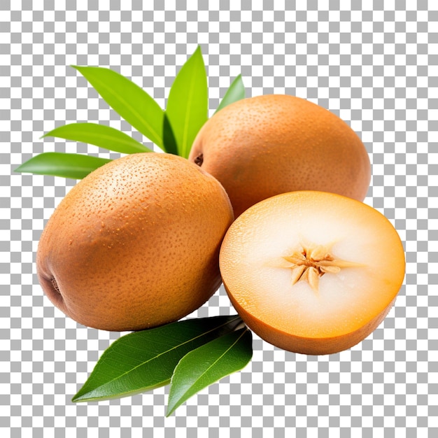 PSD sapodilla on transparent background