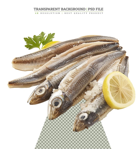 PSD sardines with lemon on white