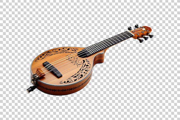 Sarod isolated on transparent background