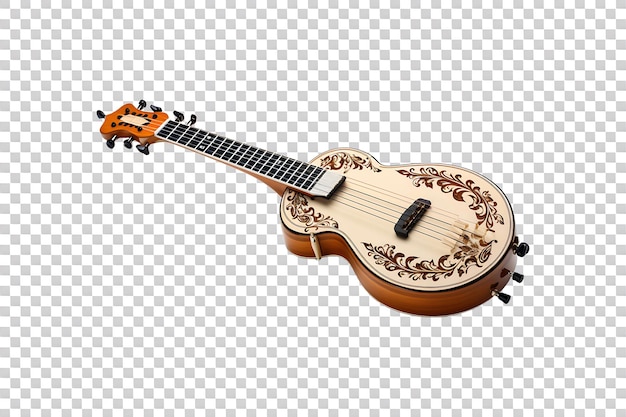 Sarod isolated on transparent background