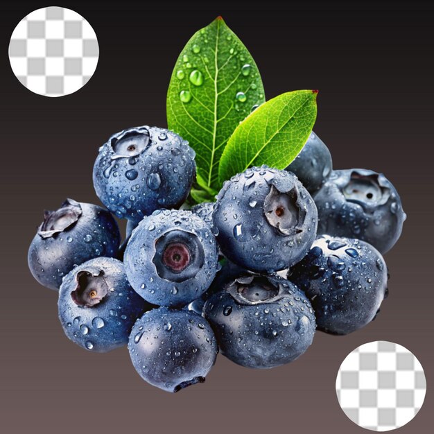 Saskatoon berries isolated on transparent background