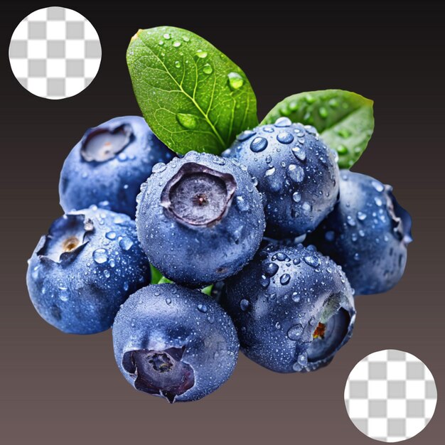 PSD saskatoon berries isolated on transparent background