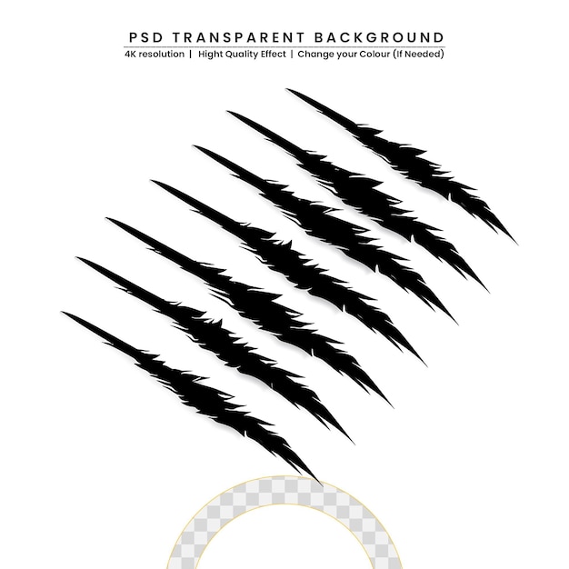 PSD scratch claws of animal on transparent background